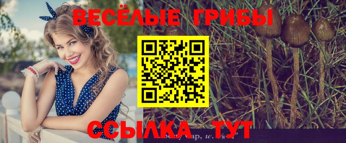 Псилоцибиновые грибы мухоморы Сатка