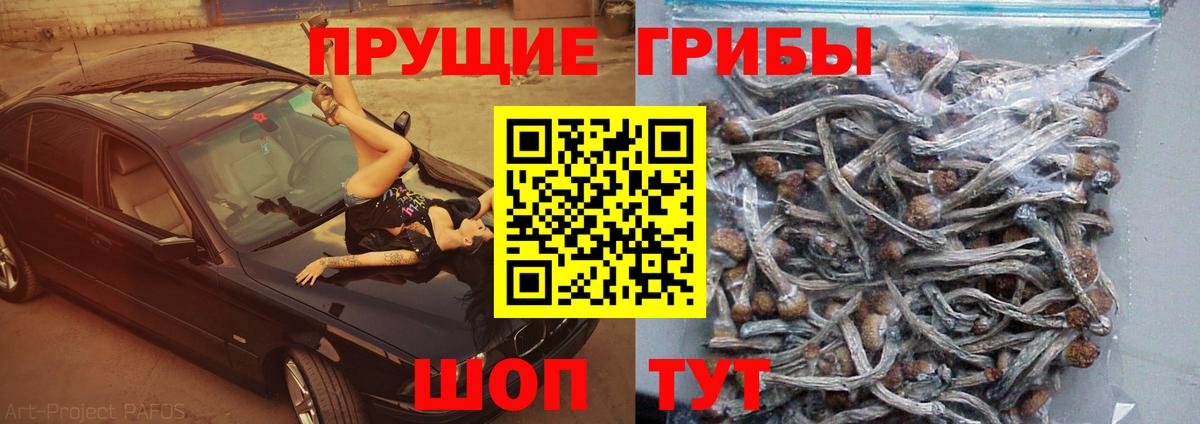 Псилоцибиновые грибы GOLDEN TEACHER  Вход с VPN  Сатка 